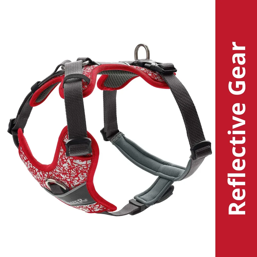 Hunter Divo Reflect Harness for Dogs (Red)