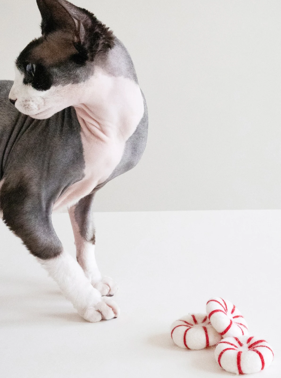 KITTY PEPPERMINT WOOL CAT TOY - Image 2
