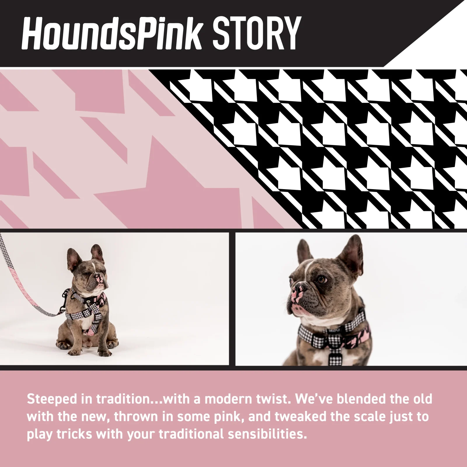 HoundsPink MARTINGALE DOG COLLAR - Image 2