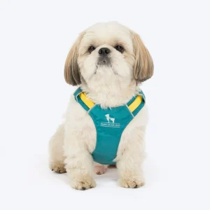 HUFT Walkmate Harness for Dogs (Teal Green)