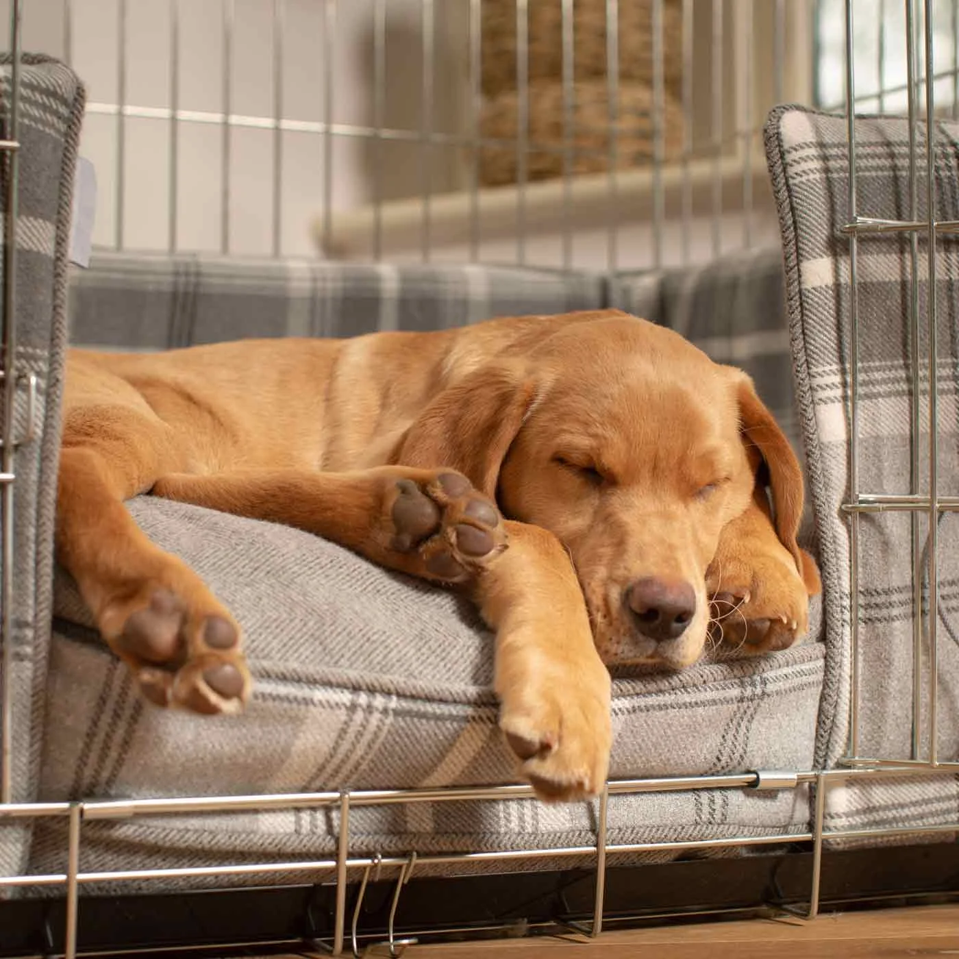 Dog Crate Bumper in Balmoral Dove Grey Tweed by Lords & Labradors - Image 2