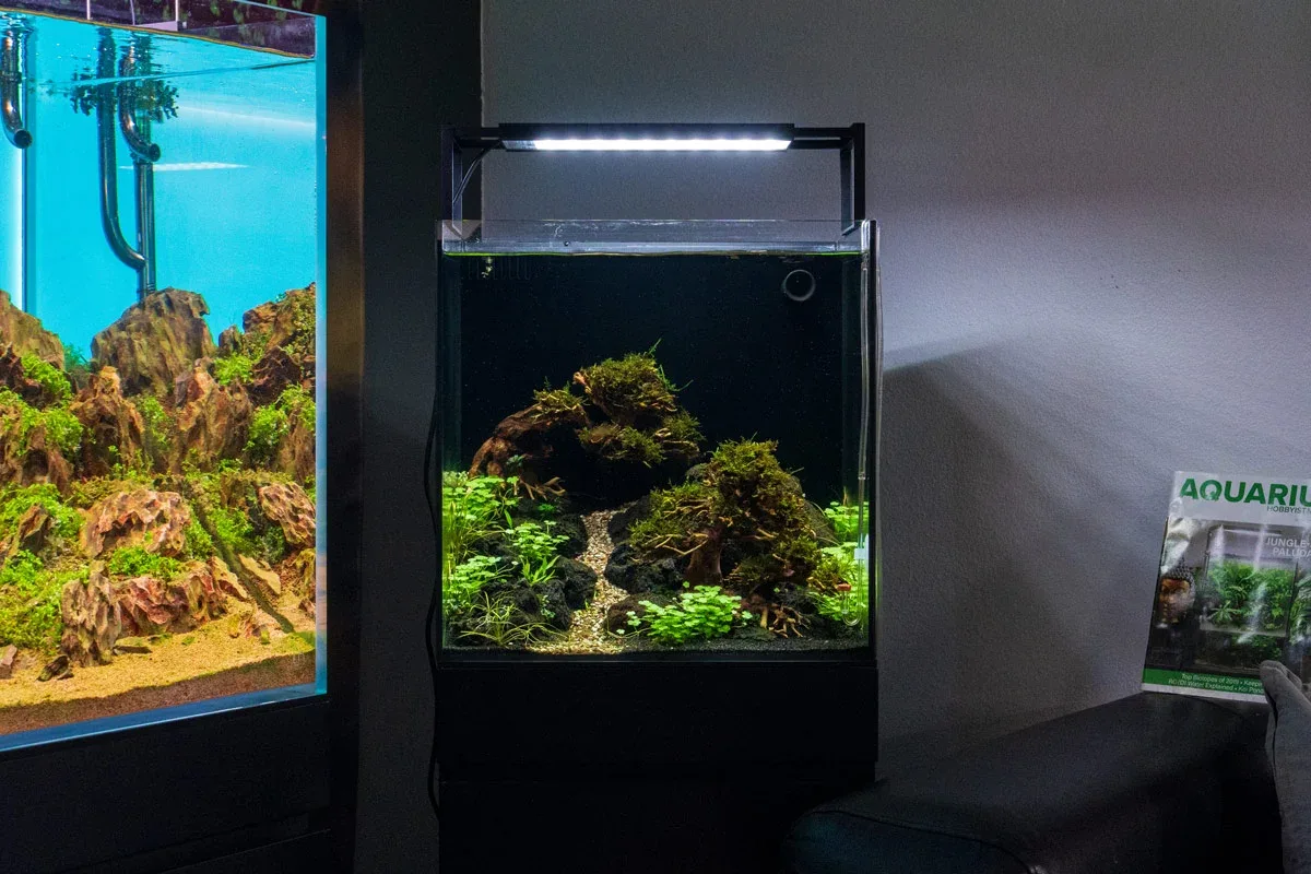 Chihiros WRGB II SLIM Edition LED Light - Image 2