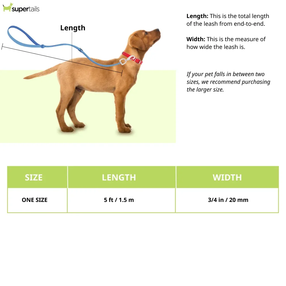 Ruffwear Front Range Leash for Dogs (Blue Pool) - Image 2