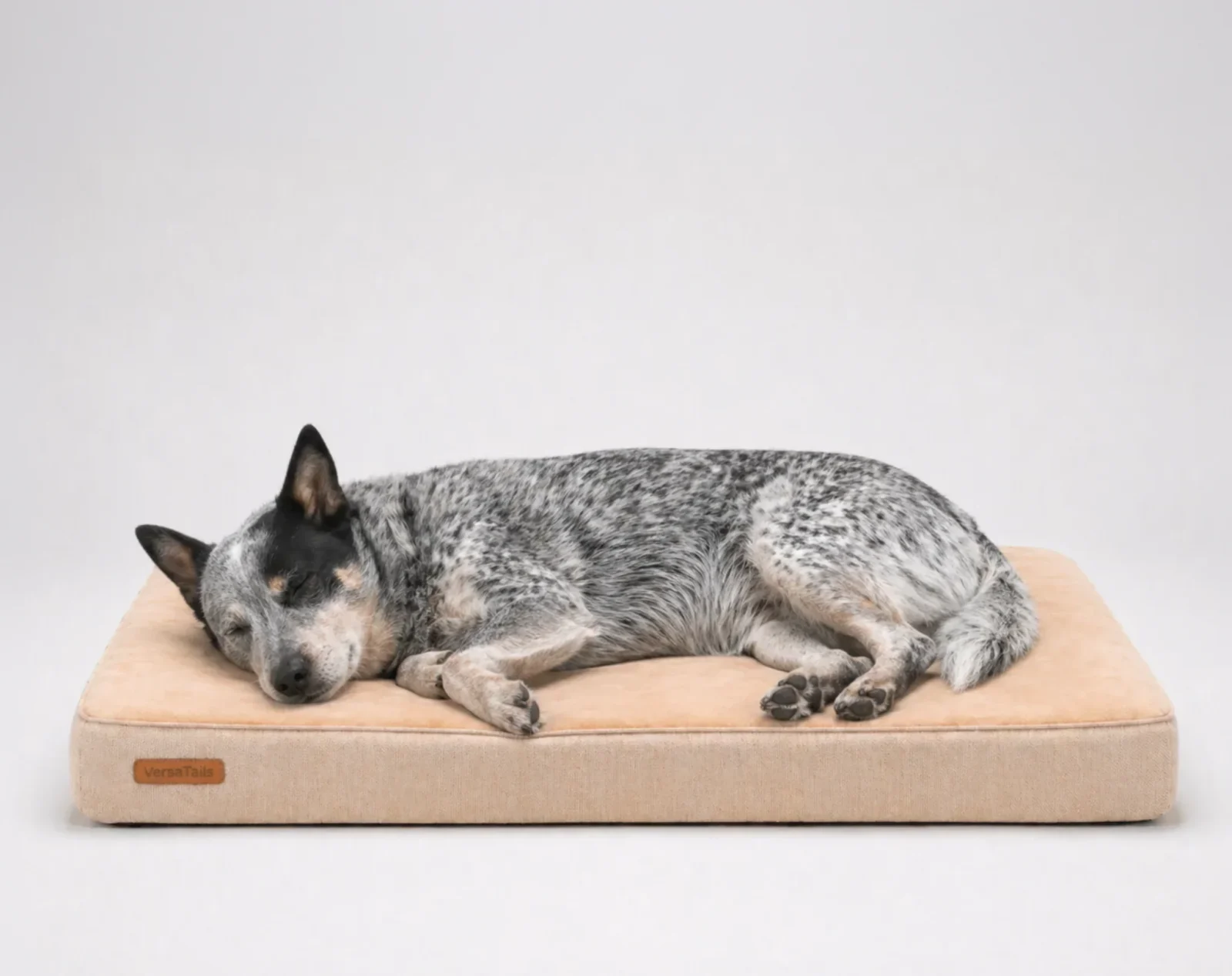 VersaTails® Orthopedic Dog Mattress - Image 2