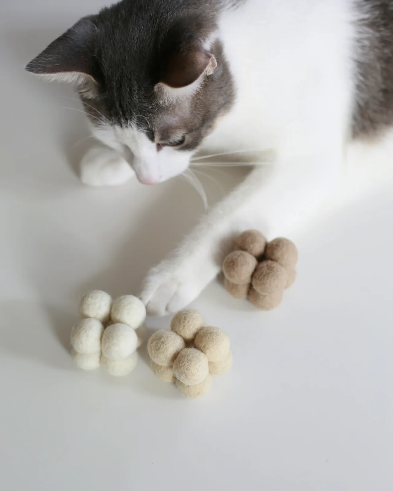 Catenary Pearl Toys