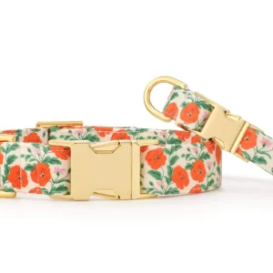 Golden Poppies Dog Collar