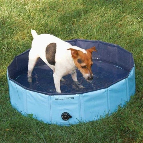 Splash About Heavy Duty Dog Pool in Many Sizes - Image 2