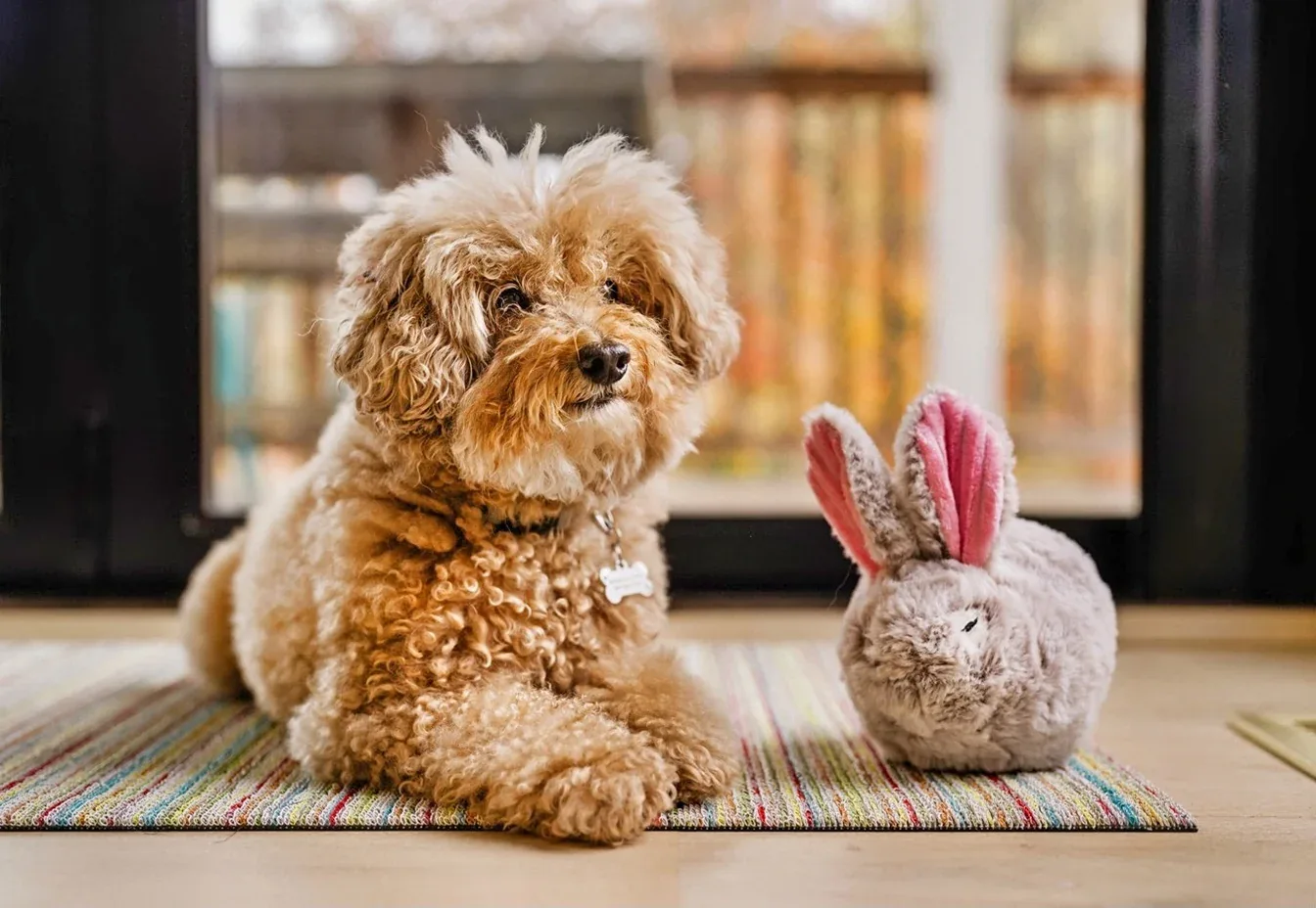 Forest Friends Baxter the Bunny - Image 2