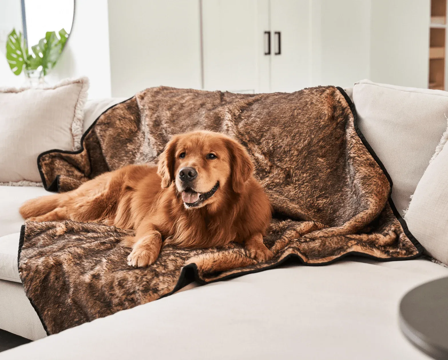 PupProtector™ Summer Short Fur Waterproof Throw Blanket - Sable Tan - Image 2