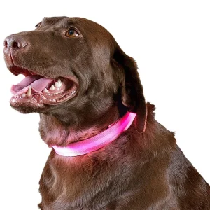 Furhaven LED Safety Pet Collar - Pink (Medium)