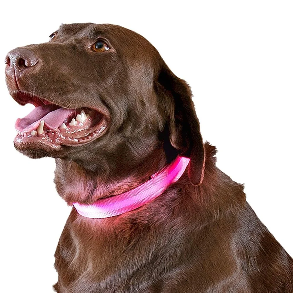 Furhaven LED Safety Pet Collar - Pink (Medium)