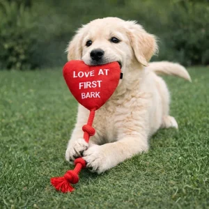 Pawgypets Love at First Bark Doggo Plush with Rope Toy for Dogs (Red)