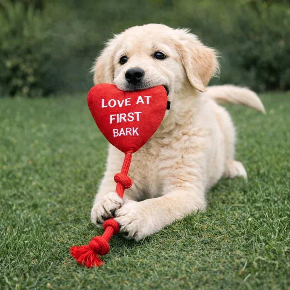 Pawgypets Love at First Bark Doggo Plush with Rope Toy for Dogs (Red)