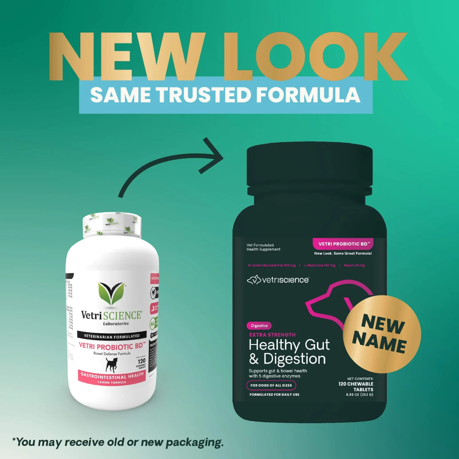 VetriScience Extra Strength Healthy Gut & Digestion Supplement for Dogs - Image 2