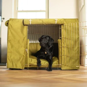 Dog Crate Set In Olive Velvet by Lords & Labradors