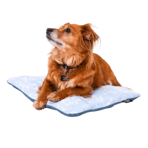 Sleeper | Inflatable Dog Bed with Washable Cover
