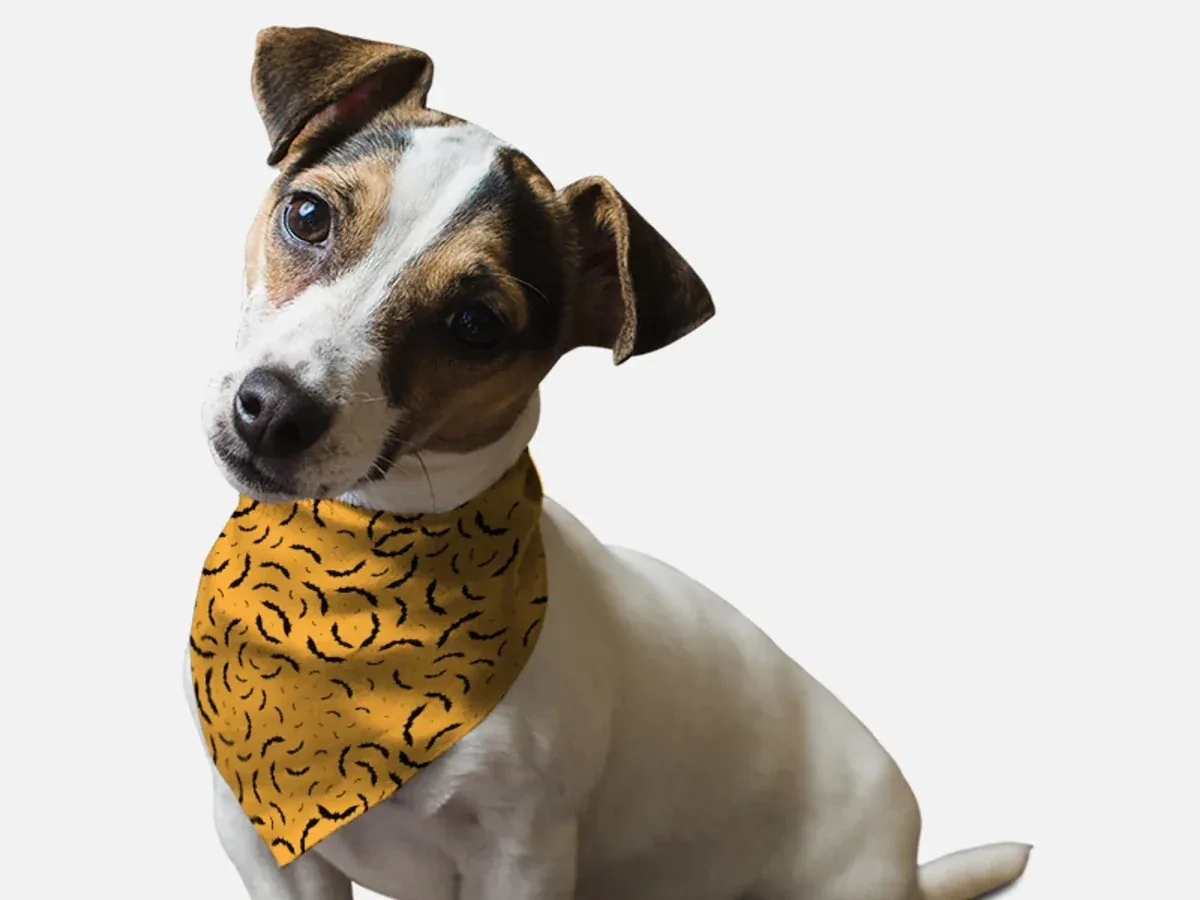 Bats, Bats, Bats! Dog Bandana by BanDoggie