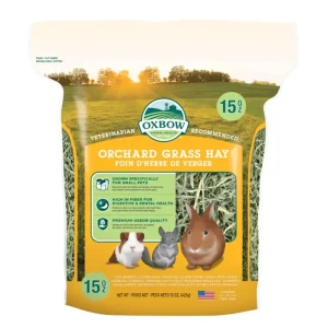 Oxbow Orchard Grass Hay for Rabbits, Hamsters and Guinea Pigs