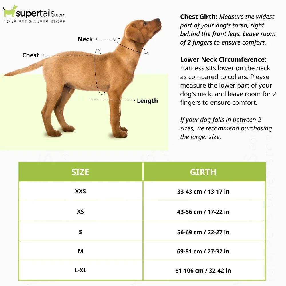 Ruffwear Front Range Harness for Dogs (Red Canyon) - Image 2