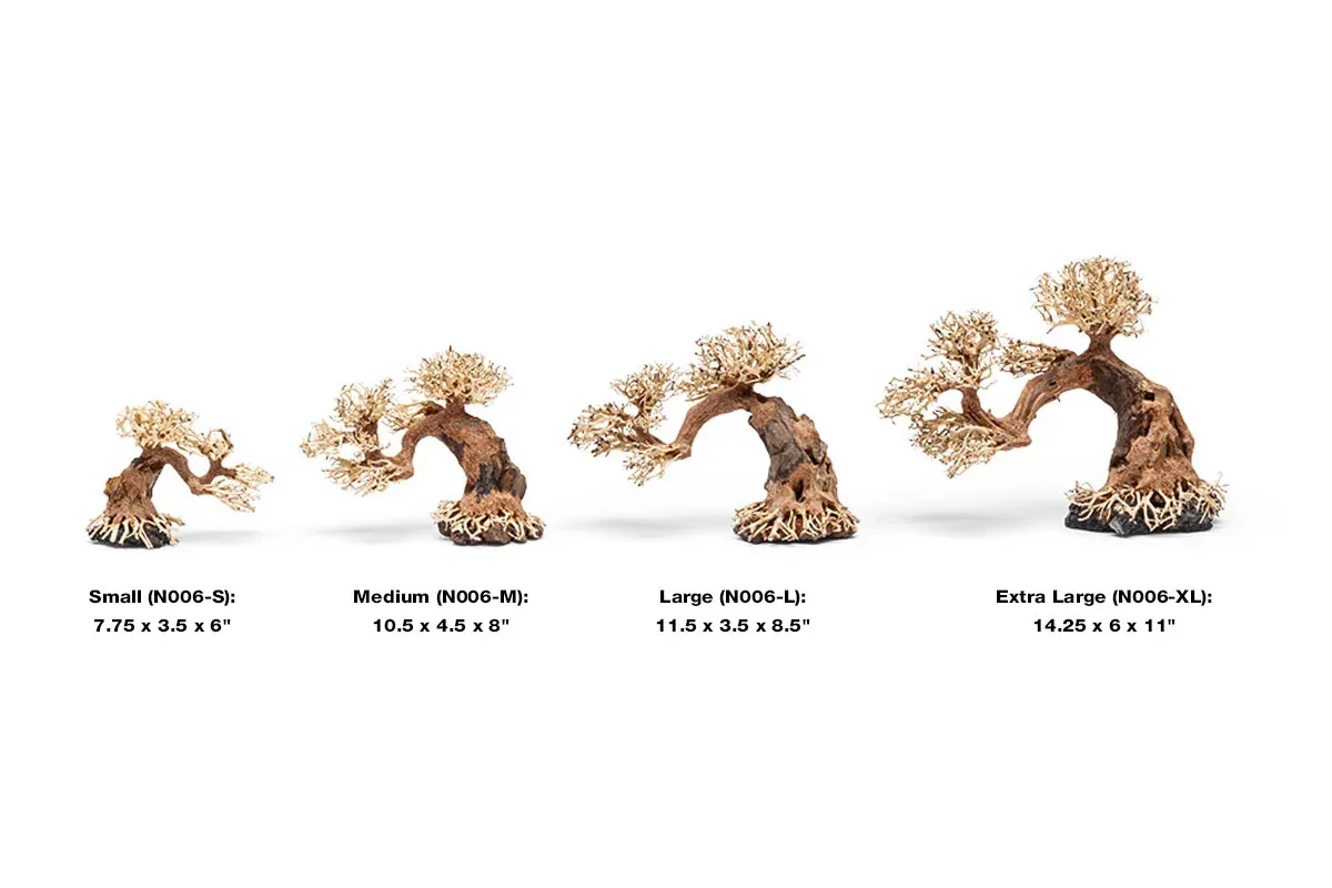 UNS Bonsai 006 - Image 2