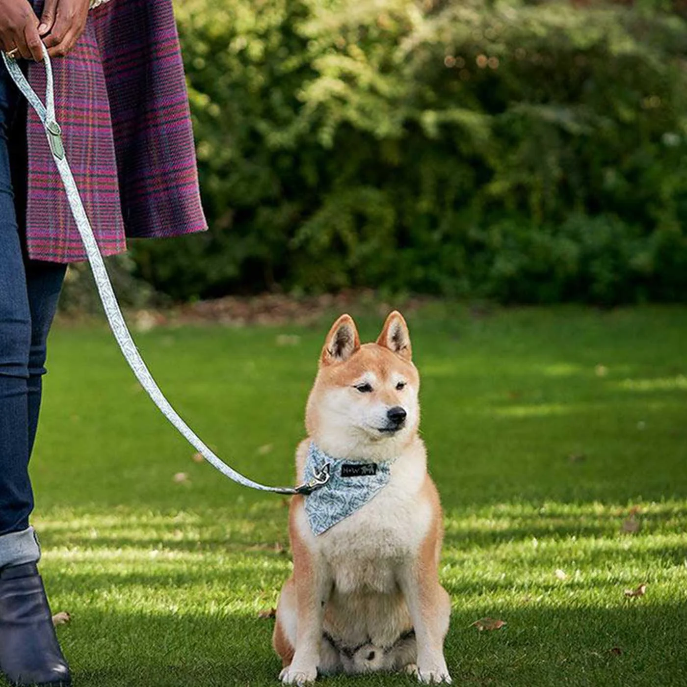 Hiro + Wolf X L&L Classic Dog Lead - Image 2
