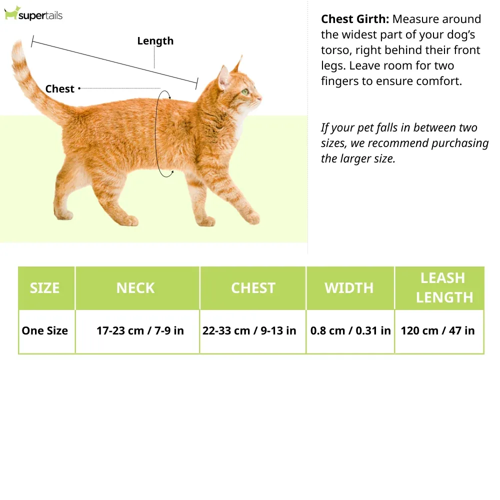 Hunter Sweet Kitty Harness with Leash for Cats & Kittens (Blue) - Image 2