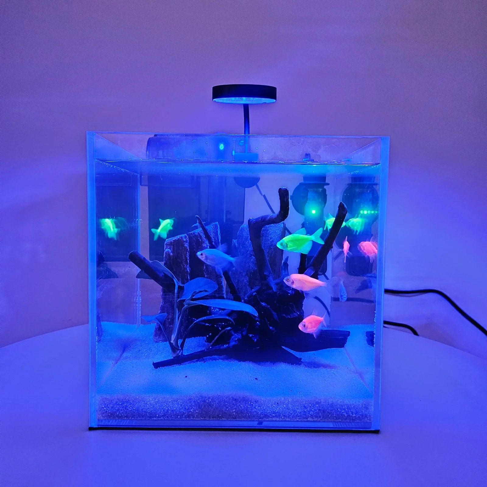 Lifegard® 2.5" Blue Spectrum Clip-On USB LED Light w/In-Line Controller - Image 2