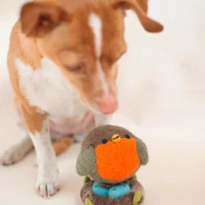 ROBIN BEASTBALL & NEST PET TOY BUNDLE