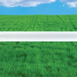 Clean Run Jump Bars, Furniture Grade PVC - 4 ft. White