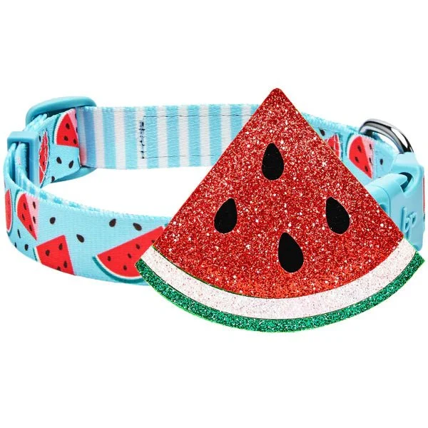 Zesty Fruit Dog Collar- Watermelon - Image 2