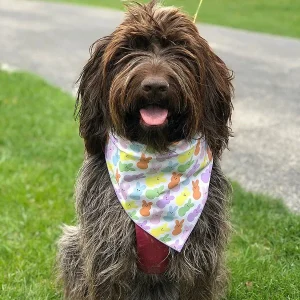 Easter Peeps Bandana