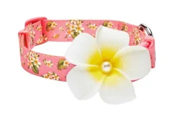 Tropical Flower Dog Collar in Pink - Image 2
