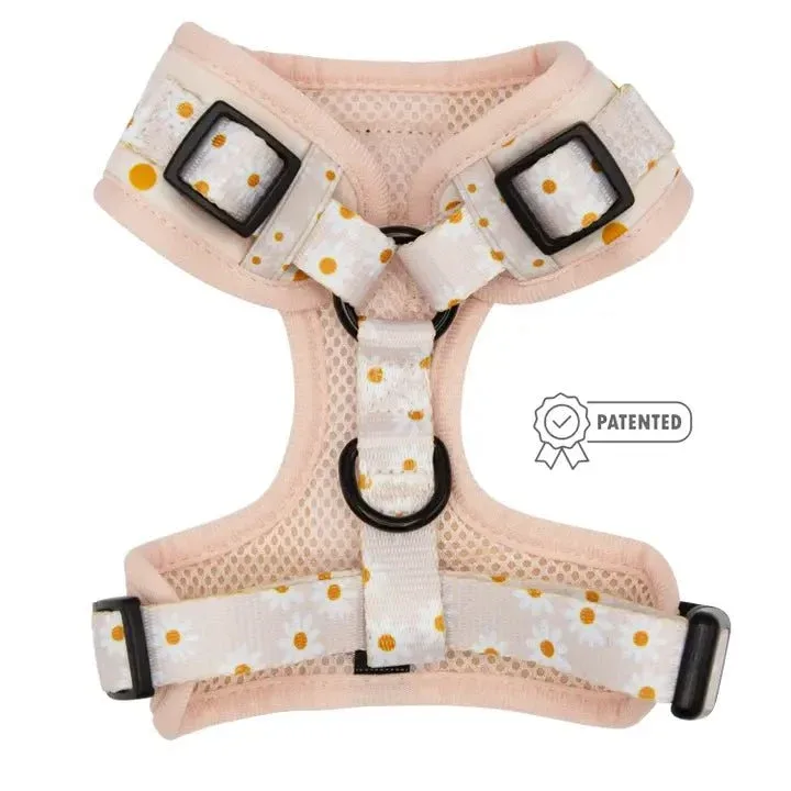 Dainty Daisy Adjustable Dog Harness - Image 2
