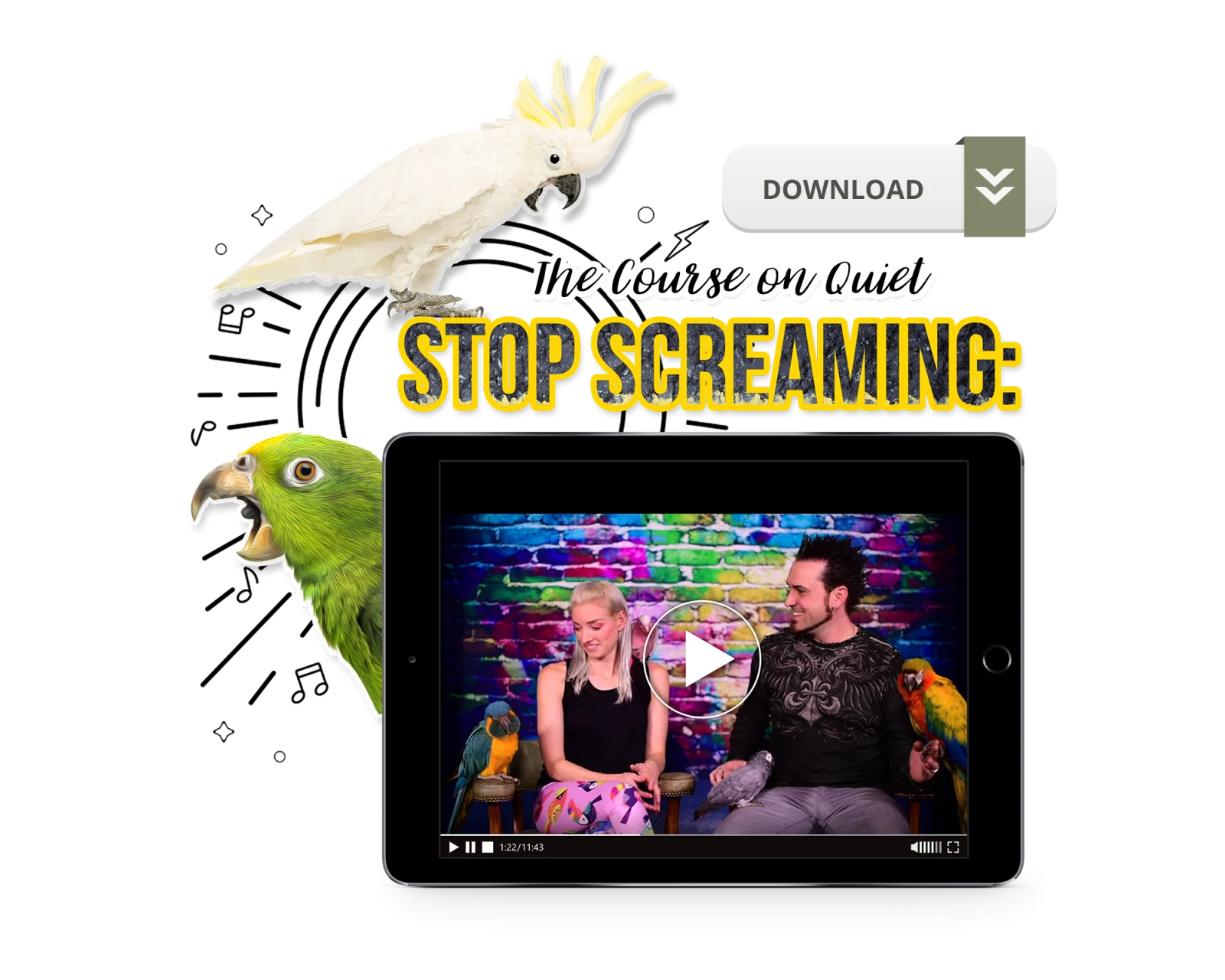 Stop Screaming: The Course on Quiet