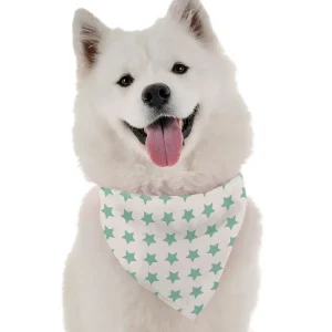 You're a Star Dog Bandana by Bandoggies