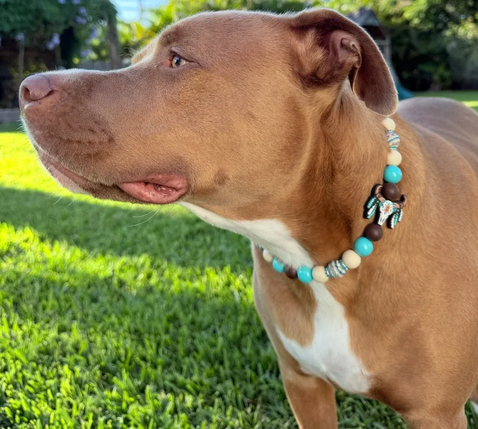 Turquoise Trails Beaded Collar - Image 2