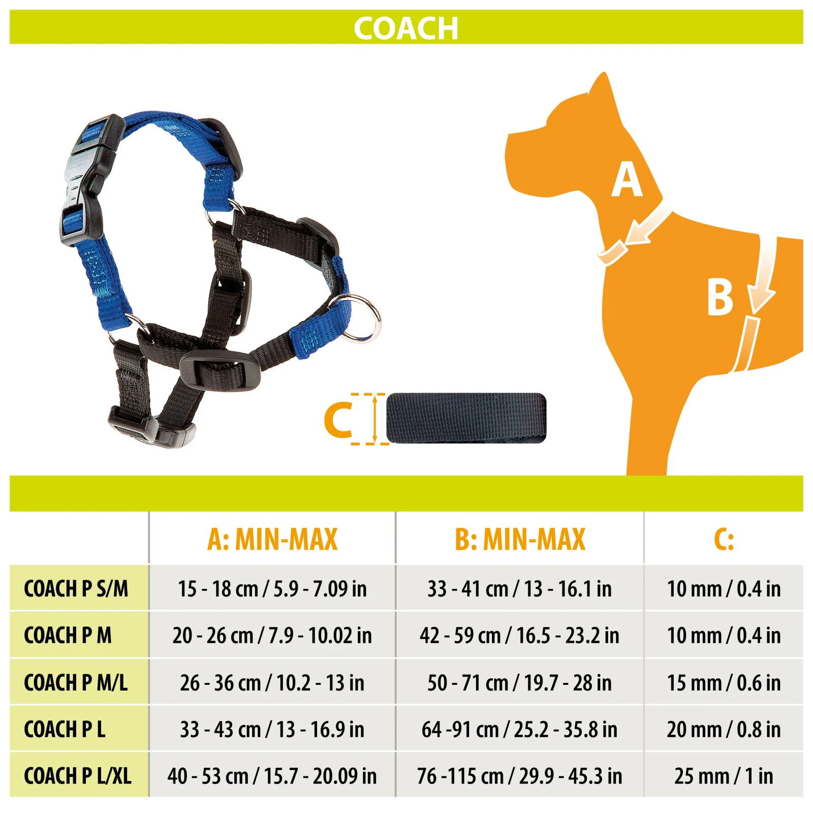 COACH - Image 2