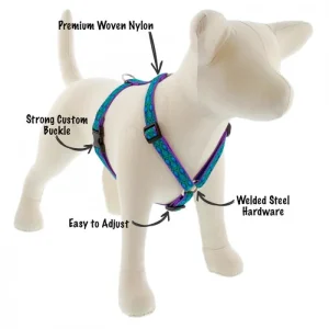 MicroBatch Roman Dog Harness