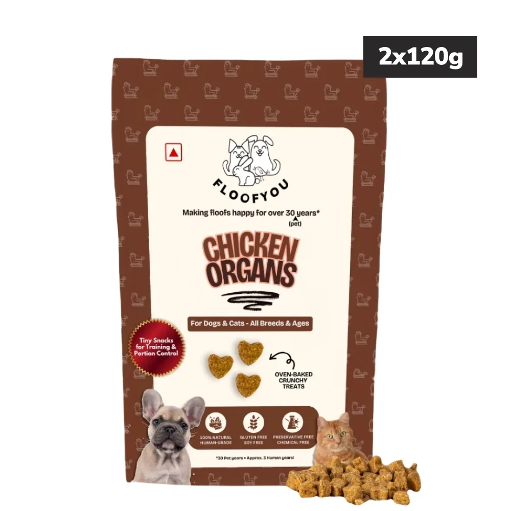 Floofyou Chicken Organs Oven Baked Cookie Dog Treats - Image 2