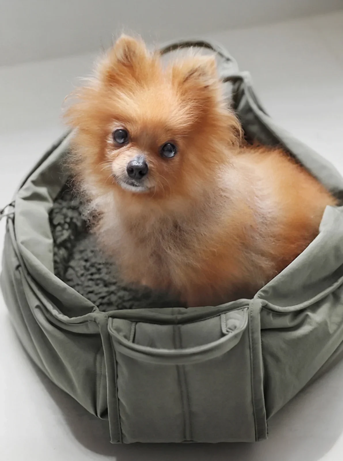 OLLA PETITE DOG CARRIER - Image 2