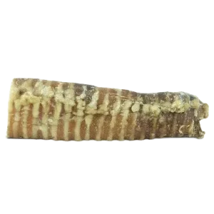 Windees Beef Trachea