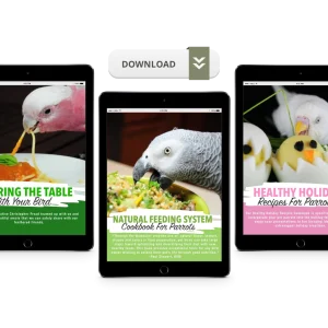 Natural Feeding System (Digital Download)