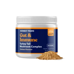 Mushroom Gut & Immune Support Powder