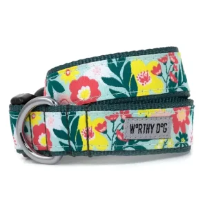 Spring Bouquet Collar & Lead