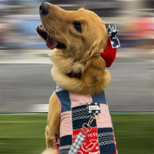 Picnic Keepsake Harness