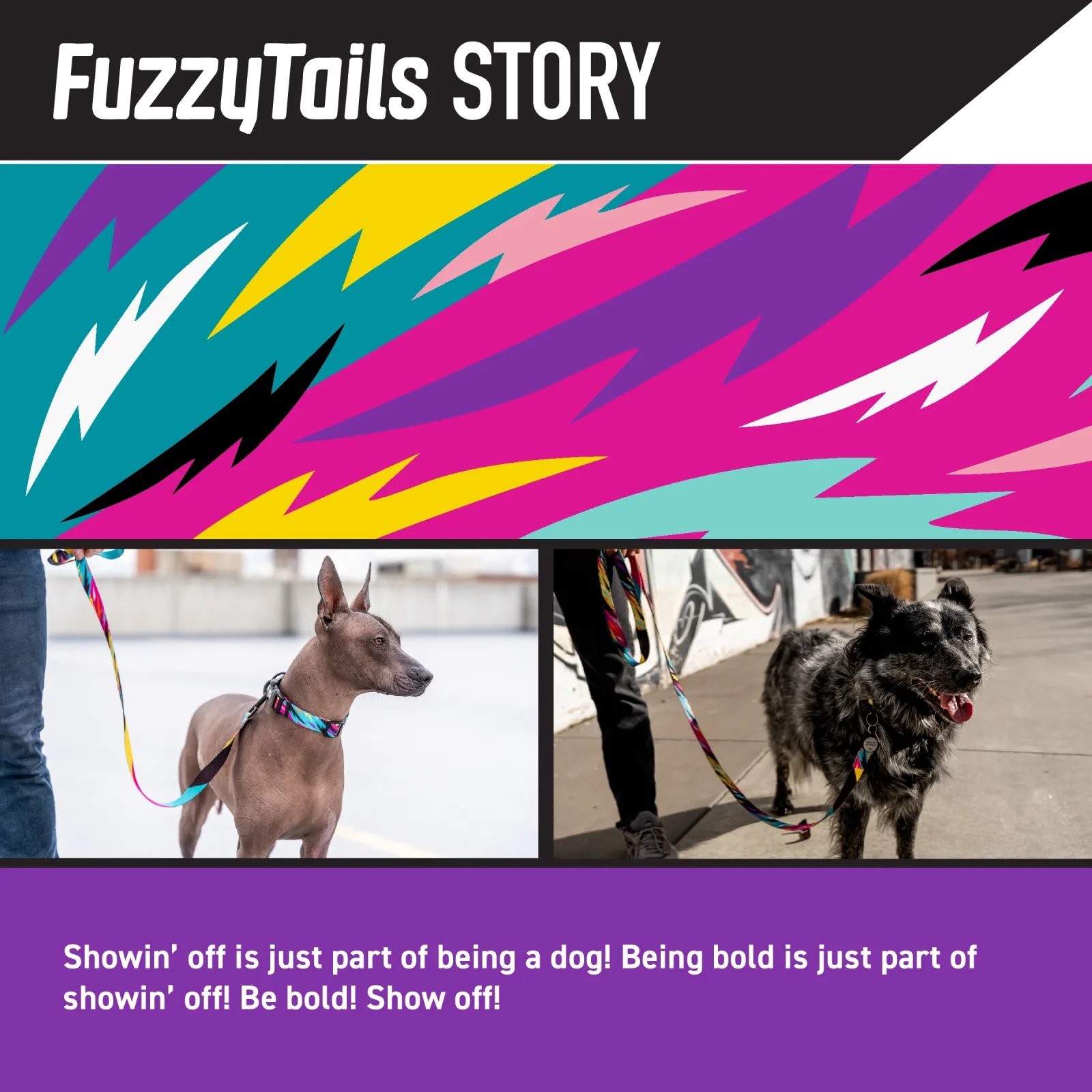 FuzzyTails Martingale Dog Collar - Image 2