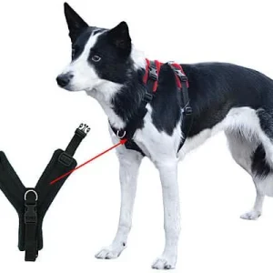 Clean Run Perfect Fit Modular Fleece-Lined Harness - Part 2, Front Piece