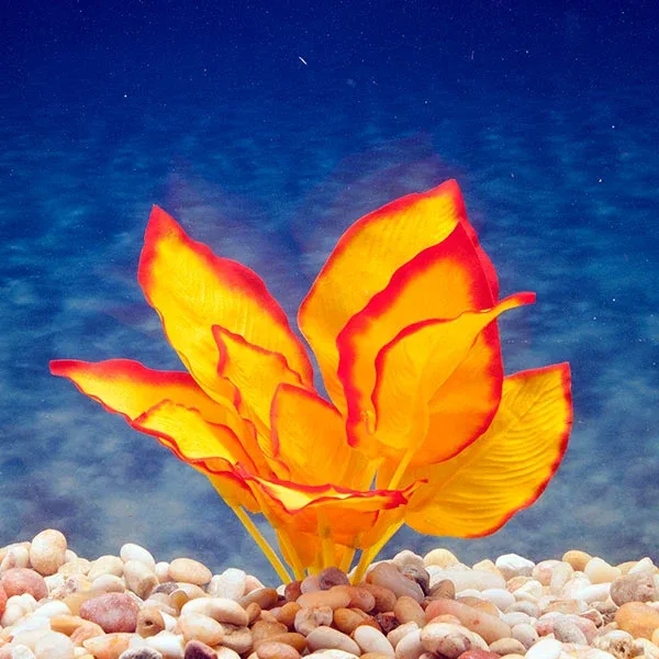 Azoo Real Plant Artificial Anubias - Orange - Image 2