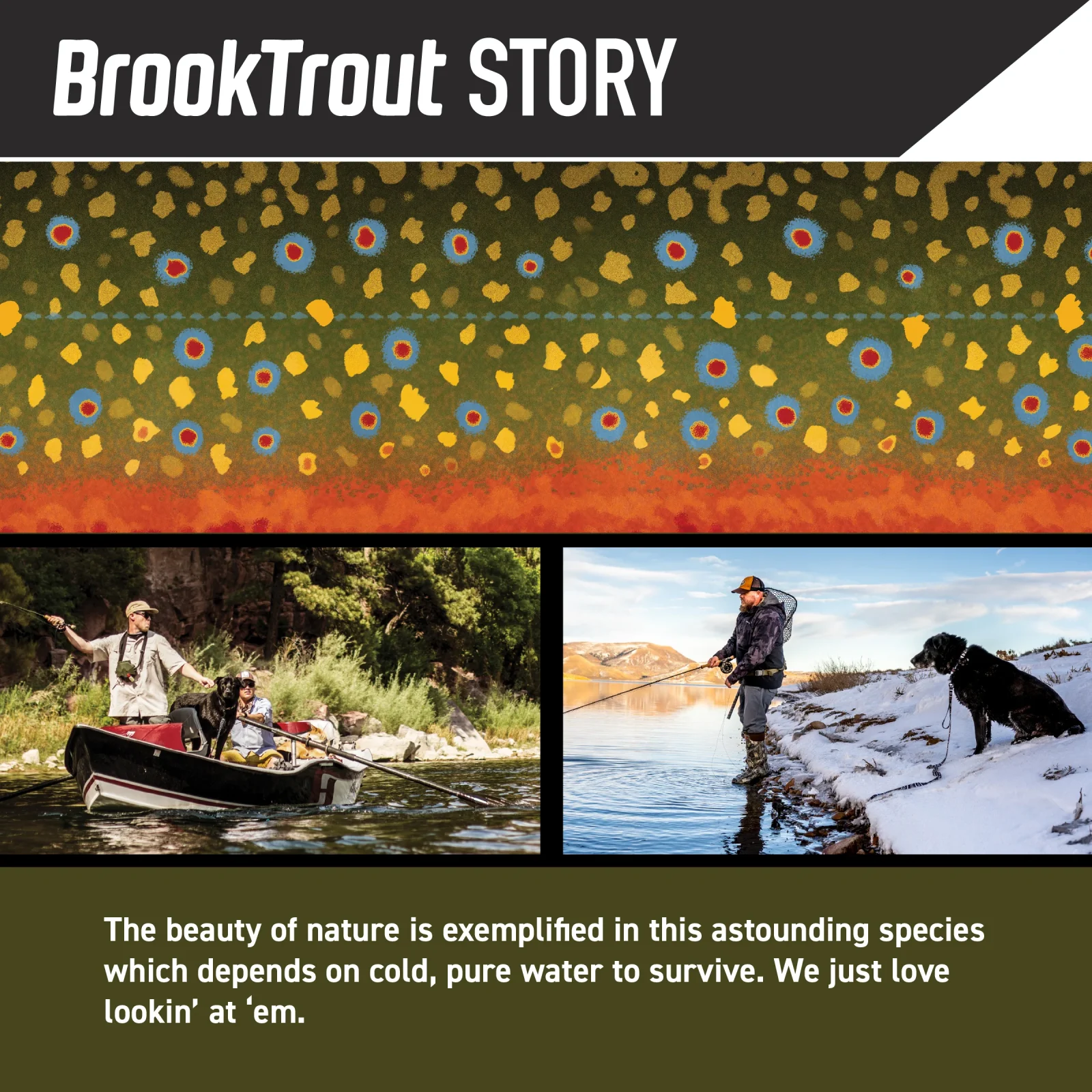 BrookTrout Dog Leash - Image 2