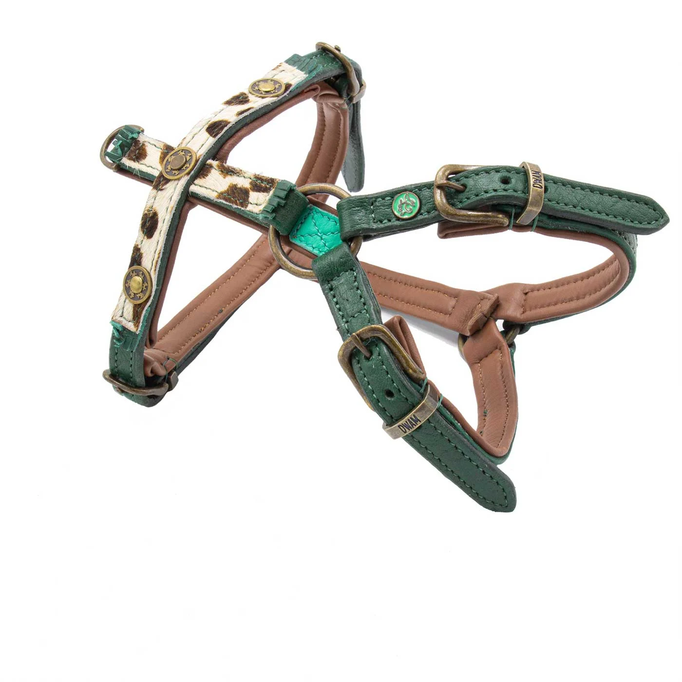 Ivy Dog Harness by DWAM - Image 2